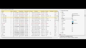 Exontrol Conditional Format