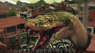 Tuğrul Bektaş Anakonda Remix (Ty)