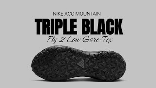 NIKE ACG MOUNTAIN FLY 2 LOW GORE-TEX 