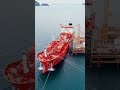 OPEC & OPEC+ Explained | Energy Alliance Overview 🛢️