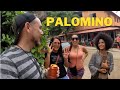 Exploring Palomino | Colombia Travel