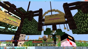 Minecraft Skyblock,join the server ip skyblock.net