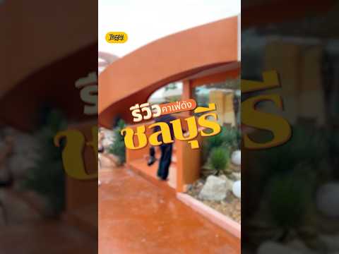 INZPY Short Video 22