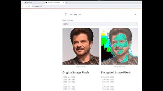 Celebrity Python image encryption using Streamlit App Wealth