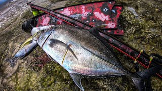 TREVALLY FRENZY! || ELUSIVE KING MACKEREL! || SPEARFISHING PHILIPPINES!