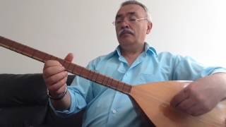 Ayva turunc narım var