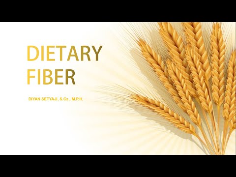 Dietary Fiber [serat pangan]