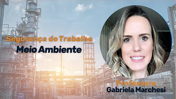 O que é segurança do meio ambiente?