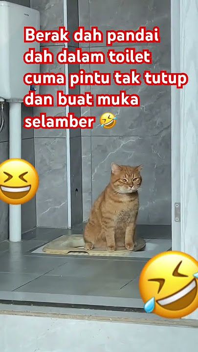 BerakDahPandaiDahCumaPintuTakTutupDanBuatMukaSelamber🤣 #fypage #funny #comedyfilms #fyp