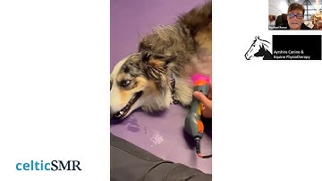 Clip | accessing the supraspinatus and biceps tendons with MLS laser therapy