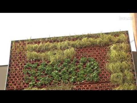 Mitgeres verdes i més sostenibles