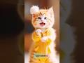 Munni Badnaam Hui Darling Tere Liye Liye Cat Dancing Video