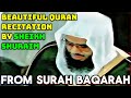 NO ADS | Surah Al-Baqarah | Sheikh Shuraim | Amazing Classical Styles