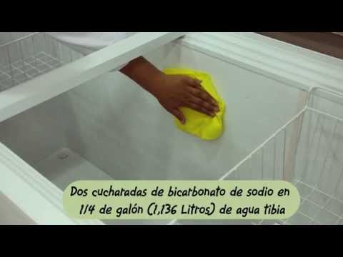 Imagen 1 de Articulo - Cómo Limpiar tu Congelador: Consejos Infalibles para un Mantenimiento Sin Esfuerzo Imagen 1 de Articulo - Cómo Limpiar tu Congelador: Consejos Infalibles para un Mantenimiento Sin Esfuerzo