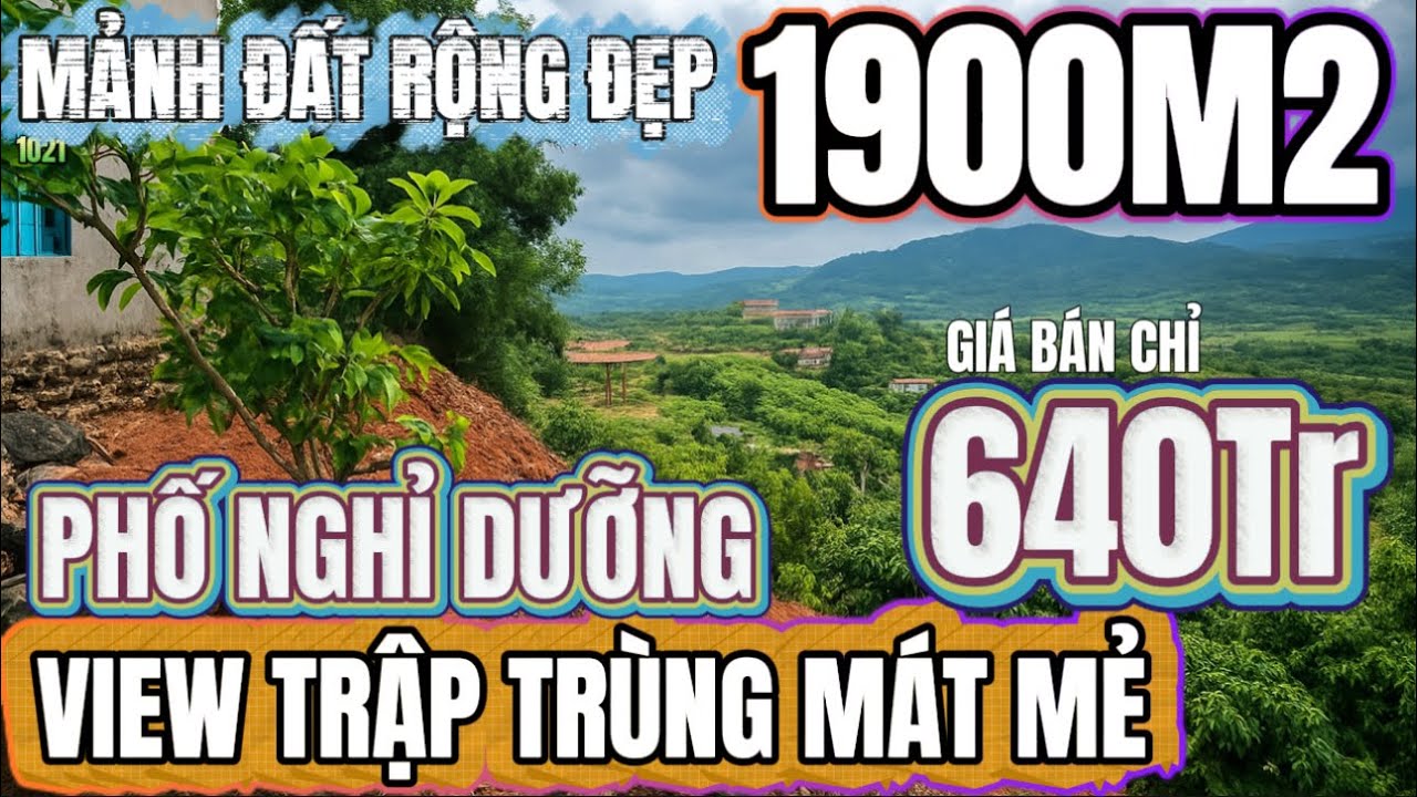 🔴Bán mảnh đất sào rộng đẹp gần 1900m2 giá rẻ chỉ 640tr khu nghỉ dưỡng đất vườn lâm đồng 0379.590.939