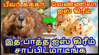 TOP 5 தில்லாலங்கடி Food Ingredients | Classic Videos | Episode 45