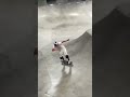 Jagger Eaton Free-Flowing CA Skateparks Park TF