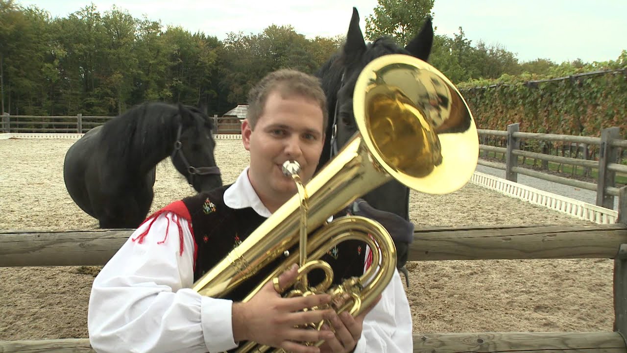 Ansambel RUBIN Dolenec sem