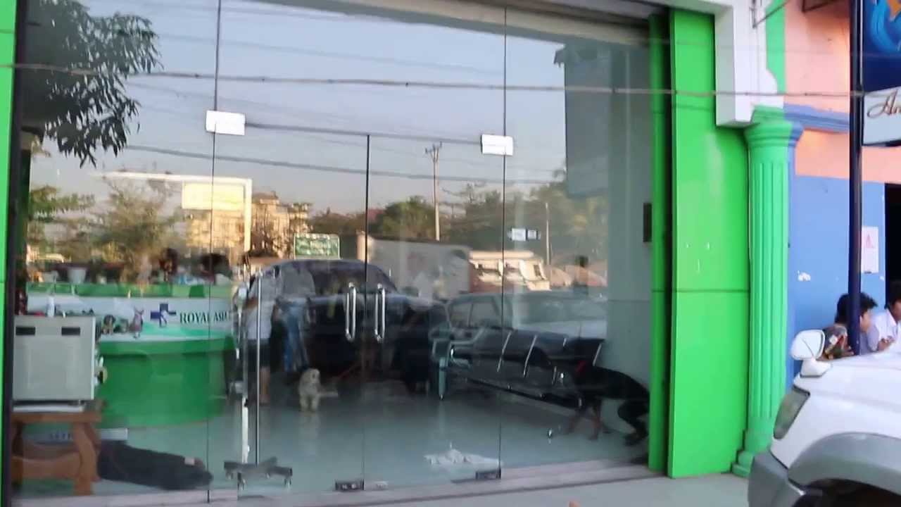 Yangon Royal Asia Veterinary Surgery visit YouTube