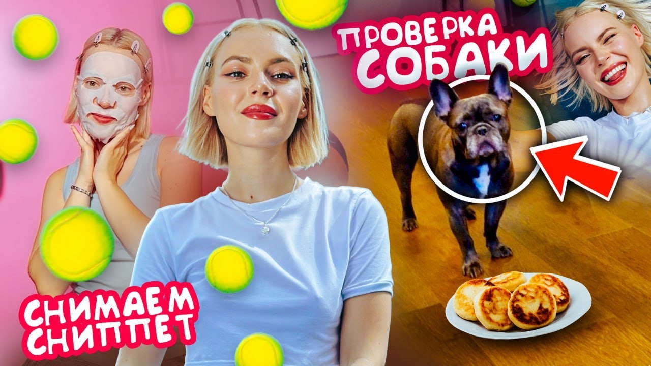 Что делает собака когда меня нет дома? МЕРС или БМВ - Накопила на тачку ...