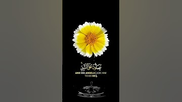 صباح الخير🌼حالات واتساب مقاطع قصيره🌼قران كريم ان الله وملائكته يصلون على النبي🌼عبد الباسط بدون حقوق