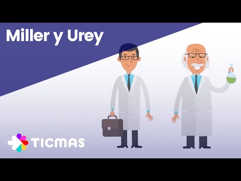 Video: ¿Qué moléculas se formaron durante el experimento de Miller y Urey?