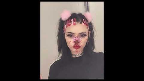 Kuma the Third - I rest my case