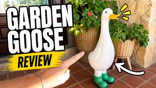 Porch Goose Review - Is This 23 Inch Garden Statue Worth It