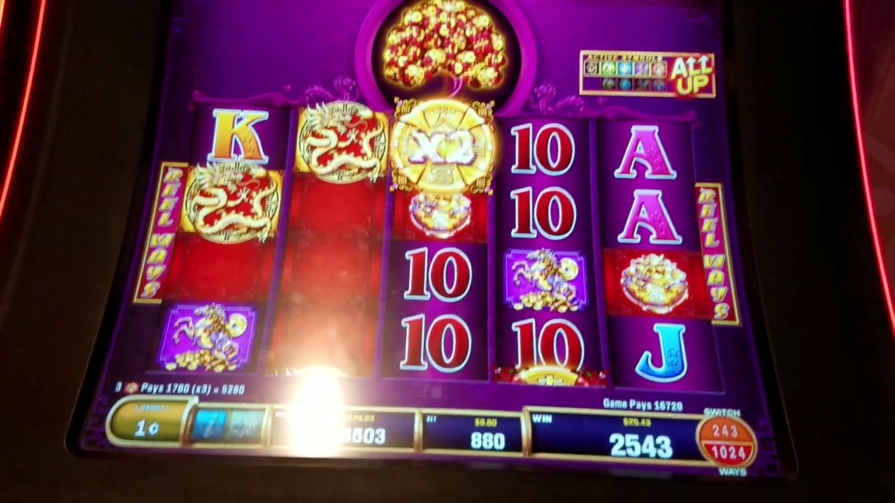 Shake that Tree!!! Progressive win and Max Bet Bonus - YouTube