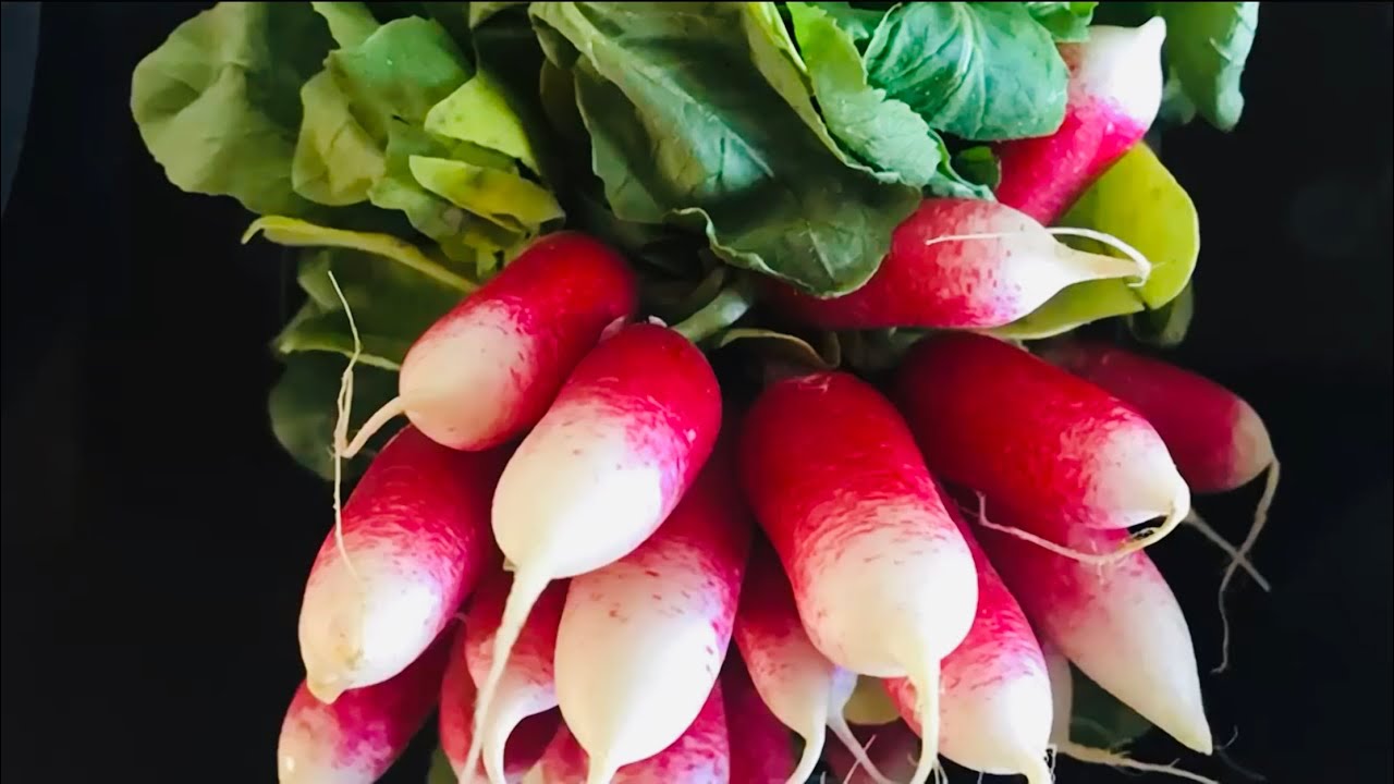 Roasted Radishes Keto recipe by Food Better YouTube