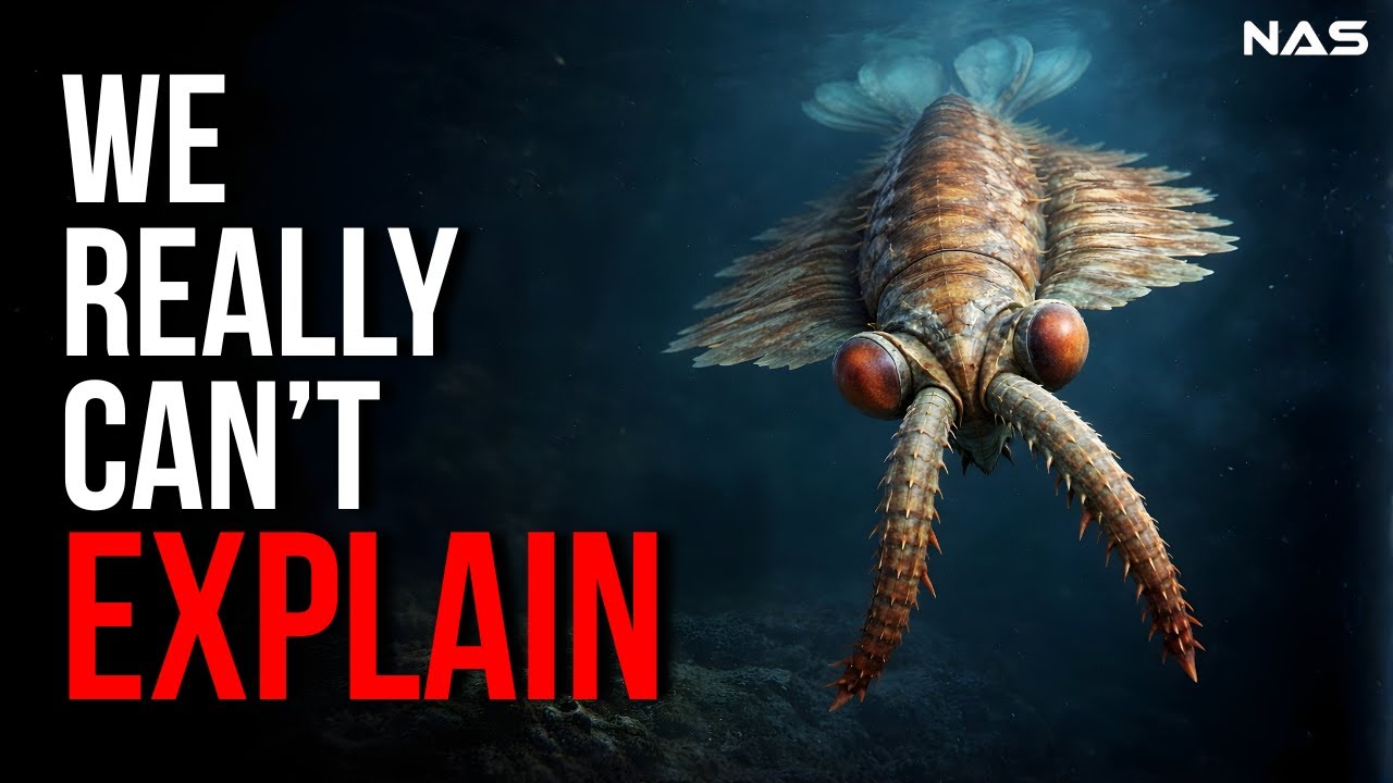 Nothing About Anomalocaris Was Normal. Here’s Why?