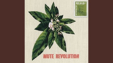 In One Restful Minute