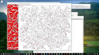 ImageJ 2