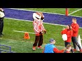 Wisconsin&#39;s Bucky The Badger Dancing at Northwesten&#39;s Ryan Field 10-27-2018