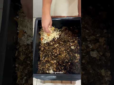Composteira doméstica para