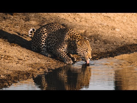 Video: once in a lifetime trip to AFRICA with my mum // Sam Evans x ADVENTURE MODE