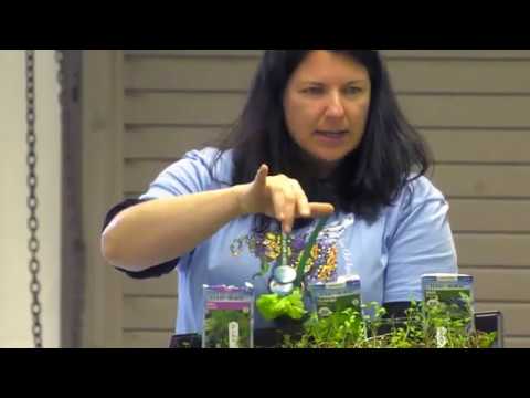 The Montgomery County Master Gardeners 20th Annual Spring