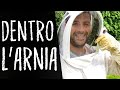 ðŸ La mia PRIMA VOLTA ðŸ