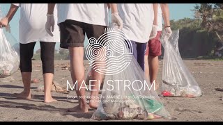 MAELSTROM AI Sorting Robot and Recycling Processes
