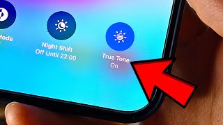 How To Check True Tone on iPhone 15 Pro Max