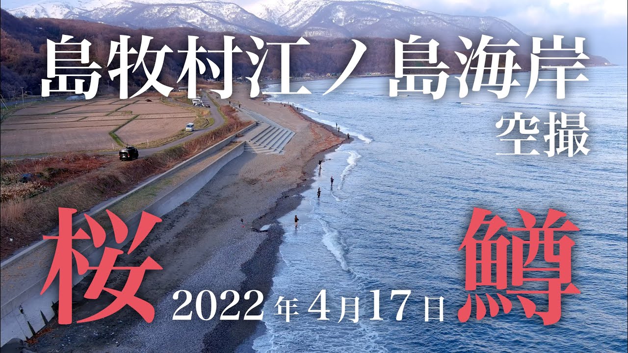 桜鱒】2022年 4月17日 北海道島牧村江ノ島海岸 空撮 【海サクラマス