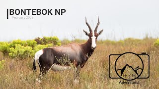 Camping at the Bontebok National Park Camping at the Bontebok National Park