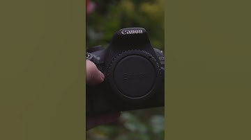 Can They Be Used in the Rain? Canon Rebel T5 (1200D) vs T6 (1300D)
