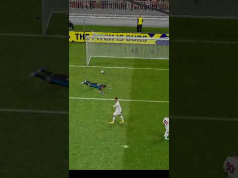 مين فينا الريس