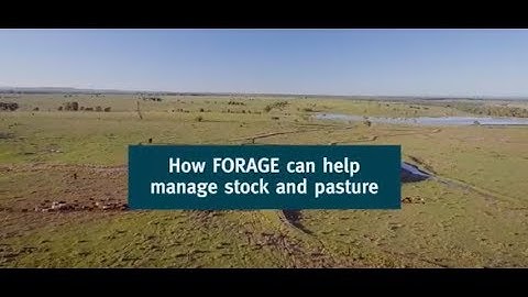 How FORAGE can help manage stock and pasture