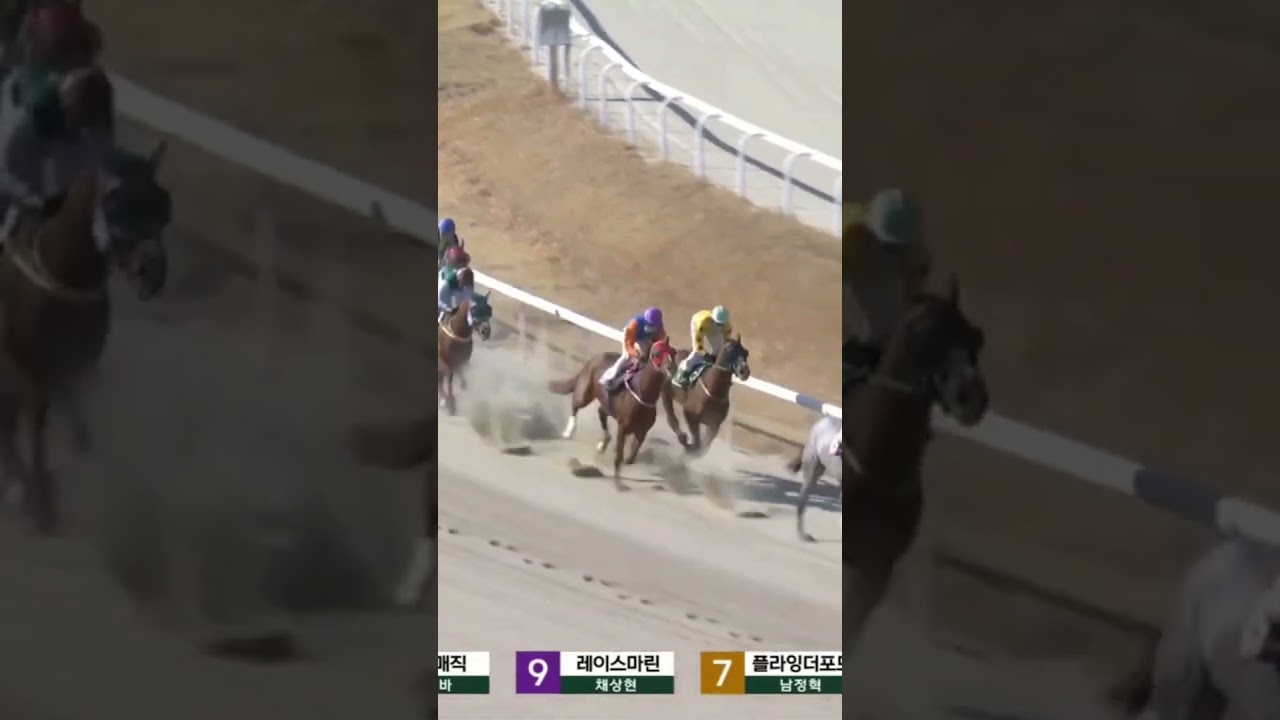 1.10같이오네  어떻게