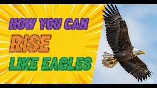Isaiah 40:28-31: soaring on wings like eagles