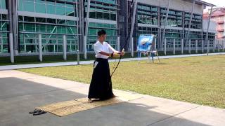Heki Ryu Insai-Ha [Tranditional] Style Demonstration