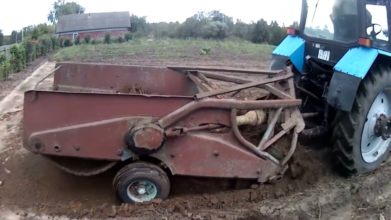 Копаем картофель Зорачка трактором МТЗ 82.1 + Z609