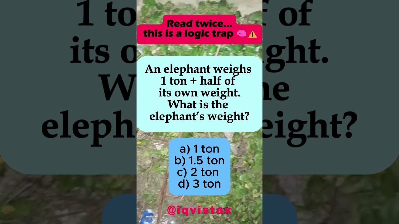 🐘 Elephant’s Weight: 1 Ton + Half Its Weight = ? 